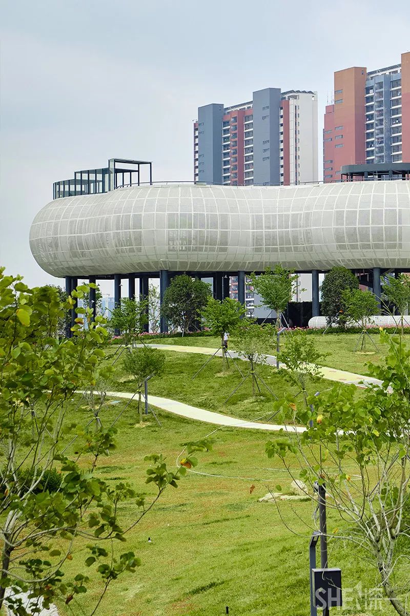 深圳网红公园地铁站,深圳地铁最近有什么公园