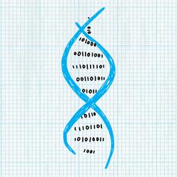 天知地知你知我不知的谜底,天知地知你知我知的下半句典故