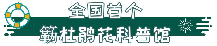 人少还免门票！深圳这片5000000㎡新公园美翻了，“神仙花谷”