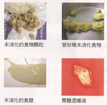 猫咪呕吐白色泡沫是什么原因,猫咪吃了冻干后呕吐是什么原因