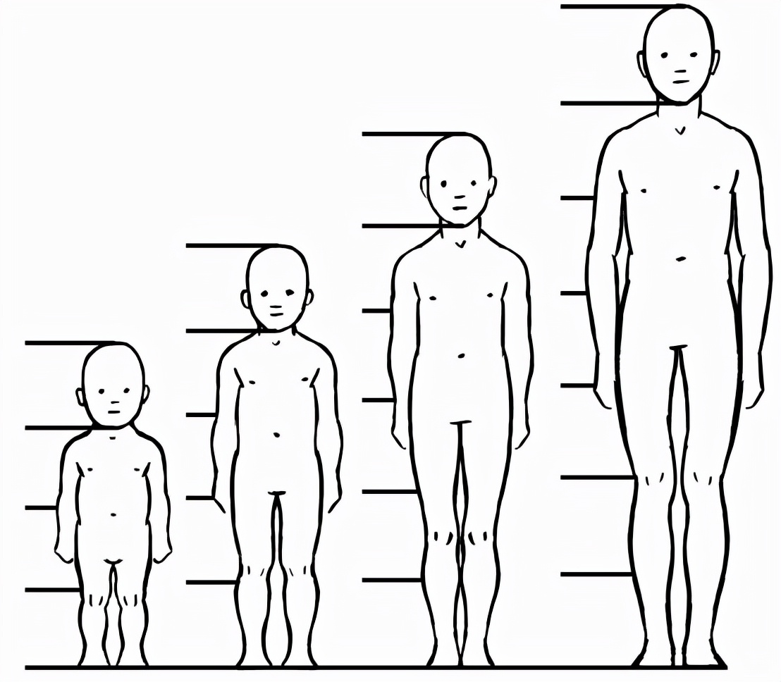 脸部线稿基础画法,线稿结构图怎么画