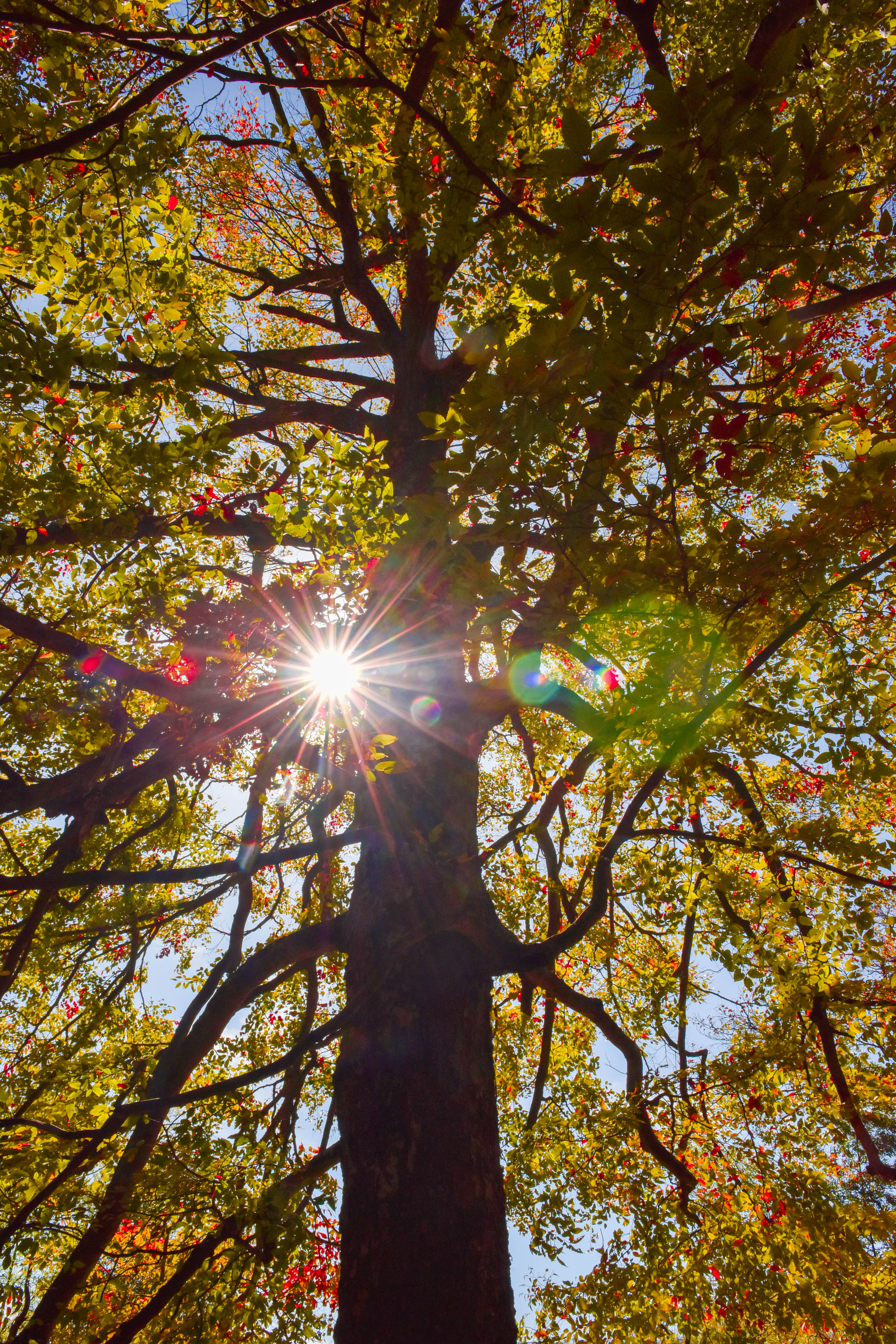 虎形山古寨,虎形山文旅小镇效果图