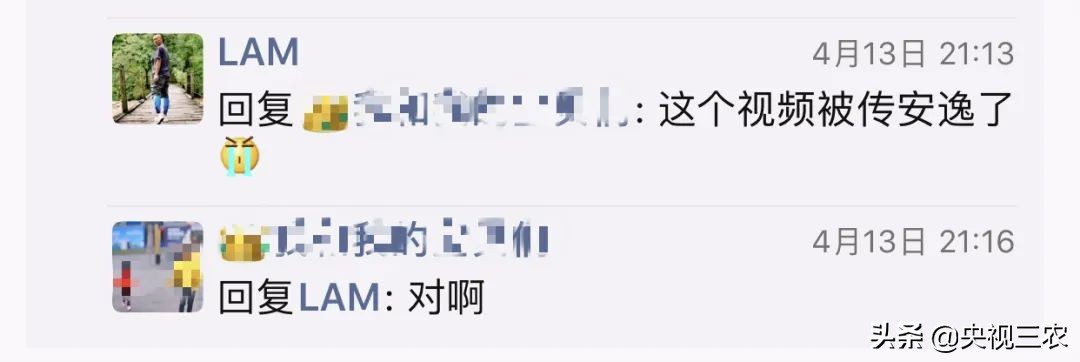 大冰雹过后农民手捧樱桃哭泣,冰雹果农哭了