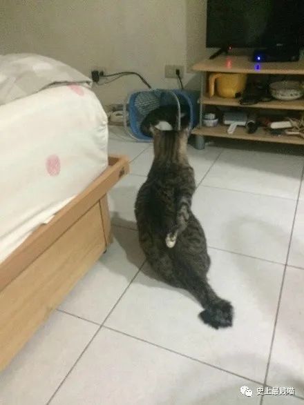 第一次看到把抖m说的这么清新脱俗的...实在太形象了哈哈哈哈哈!