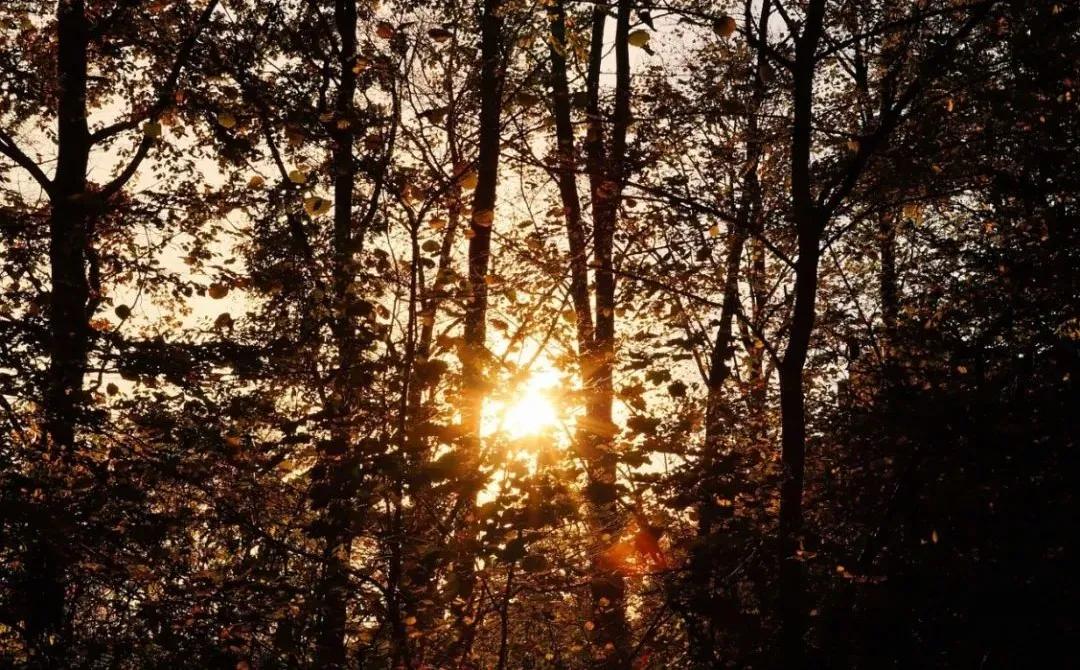 半生风雪，吹落深秋霜月
