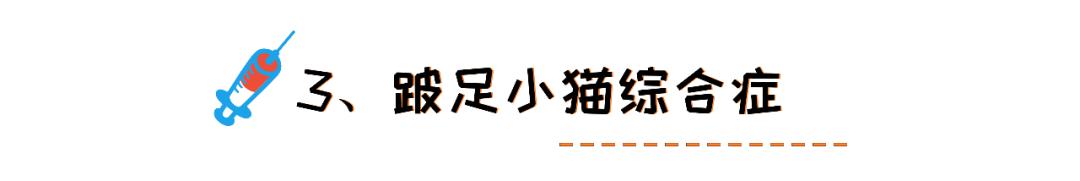 小猫打针后死了,小猫打了狂犬疫苗还会得病吗