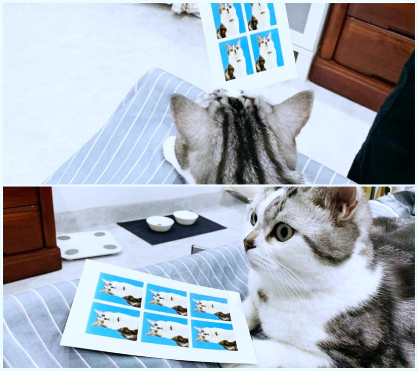 汉印cp400彩色便携相片打印机,汉印照片打印机cp4000价格