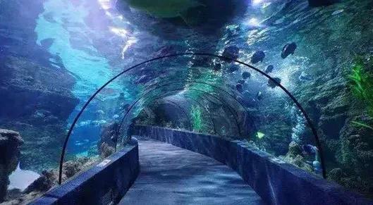 宫崎骏的眼中的世界,青岛宫崎骏的夏天在哪