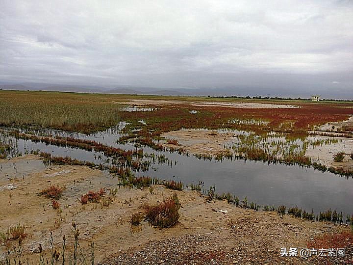德令哈为什么有外星人遗址,青海省德令哈外星人遗址旅游