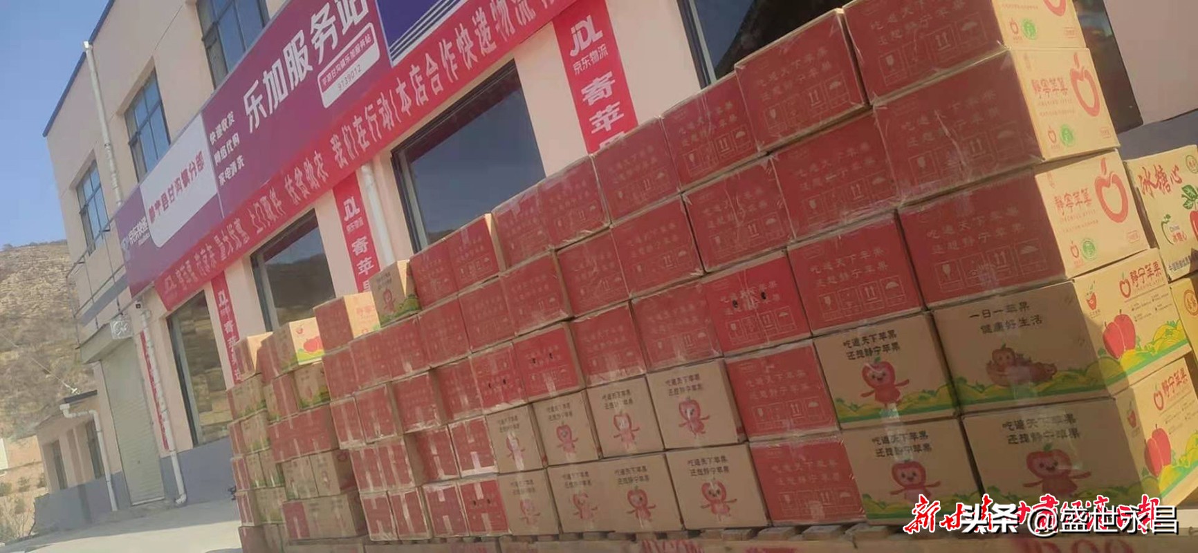 物流运输服务提升,物流助农项目