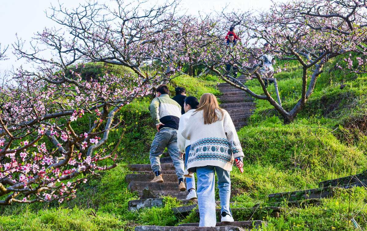 潼南桃花山景区,潼南春游踏青最佳地