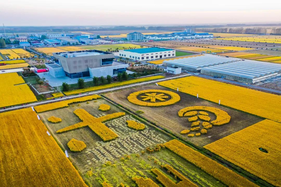 走向我们的小康生活微电影,走向我们的小康生活中国画