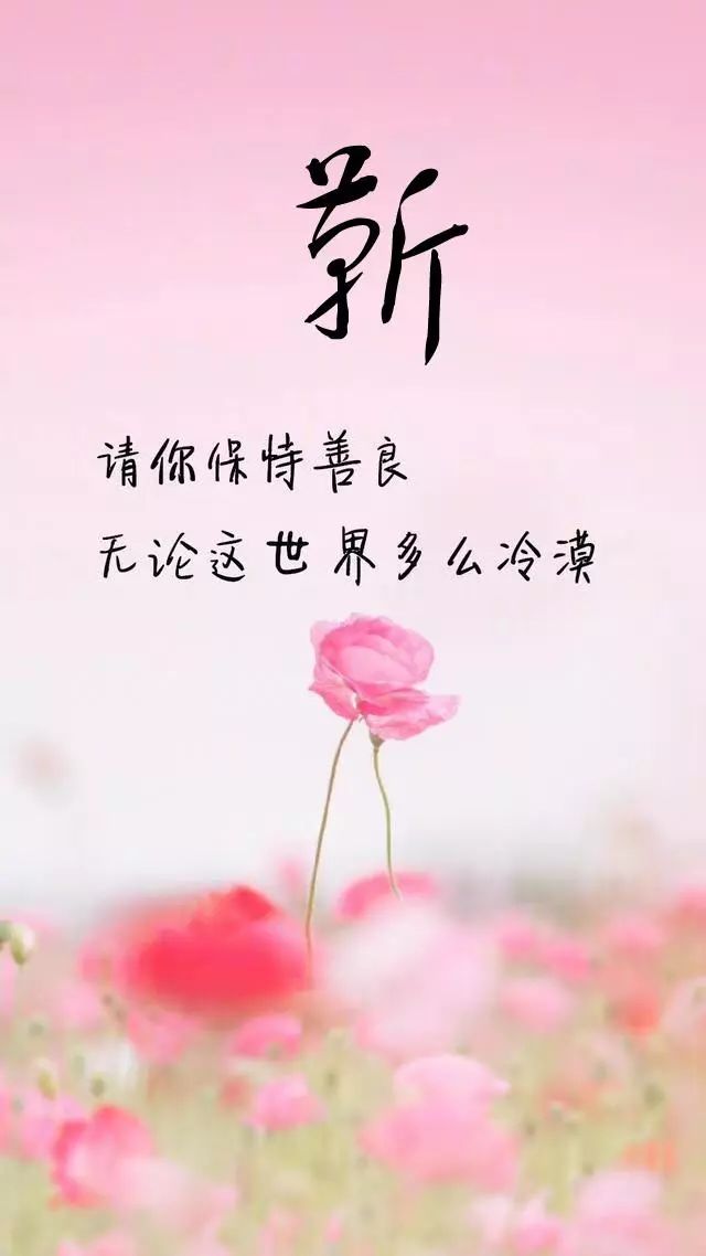 珠宝翡翠艺术字体,翡翠字体图片欣赏