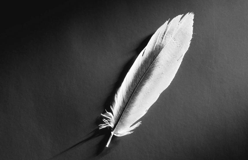 处女座最易被掌握的星座,处女座是最strong的星座