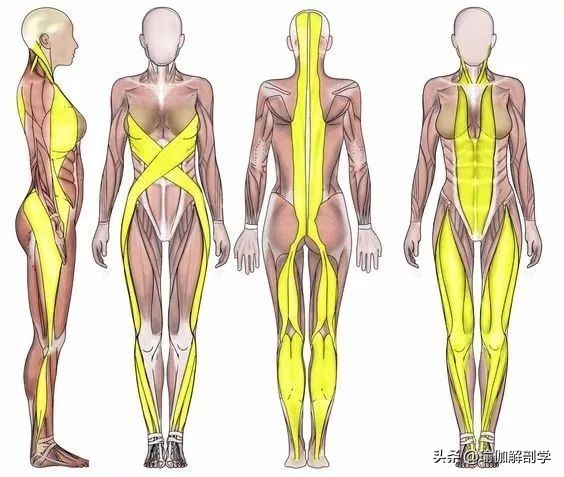 瑜伽金刚跪脚背疼怎么办,瑜伽金刚跪有什么好处