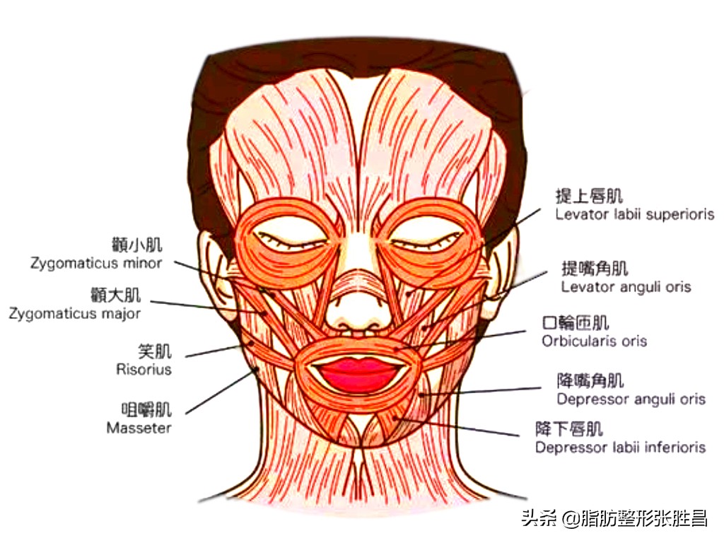 爱笑的女孩笑起来法令纹很明显,笑的时候有法令纹的人怎么样
