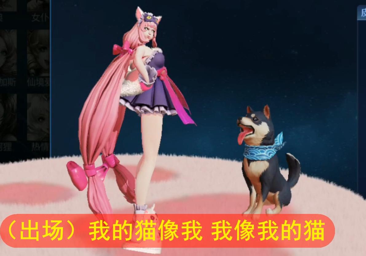 王者荣耀孙策大乔猫狗日记,孙策猫狗日记死亡时候台词