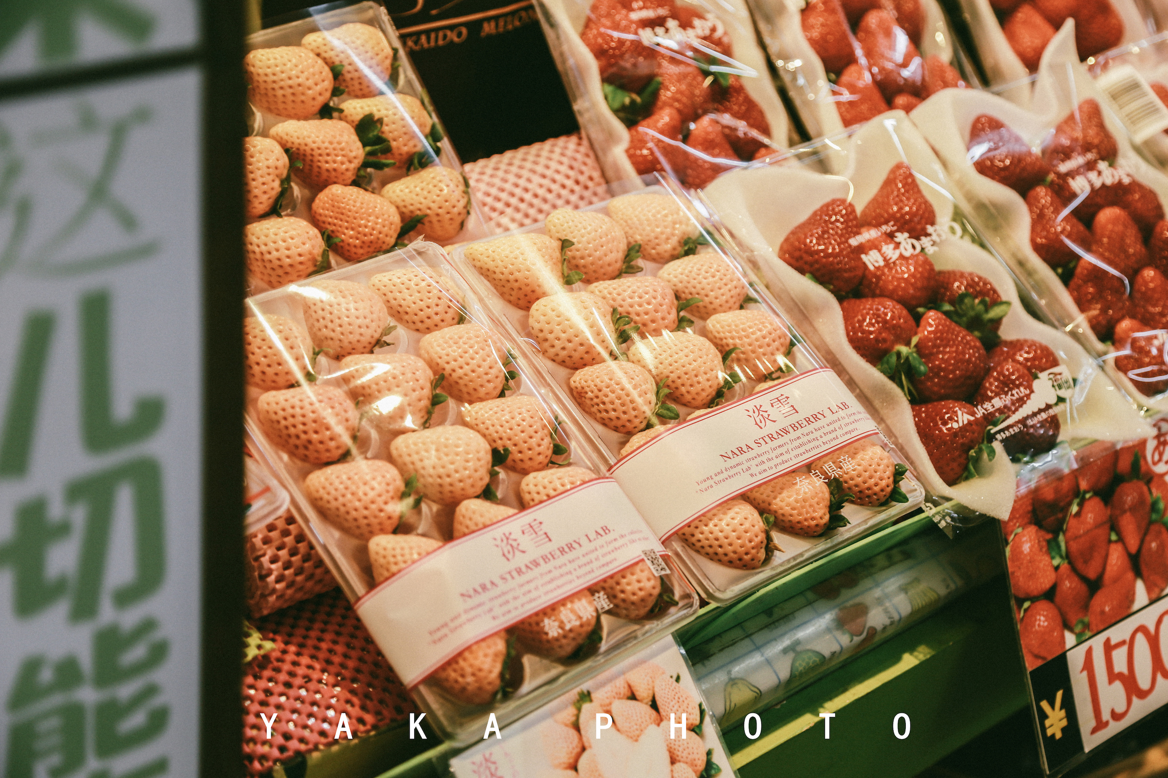 北海道函馆攻略一日游,12月北海道函馆有什么推荐