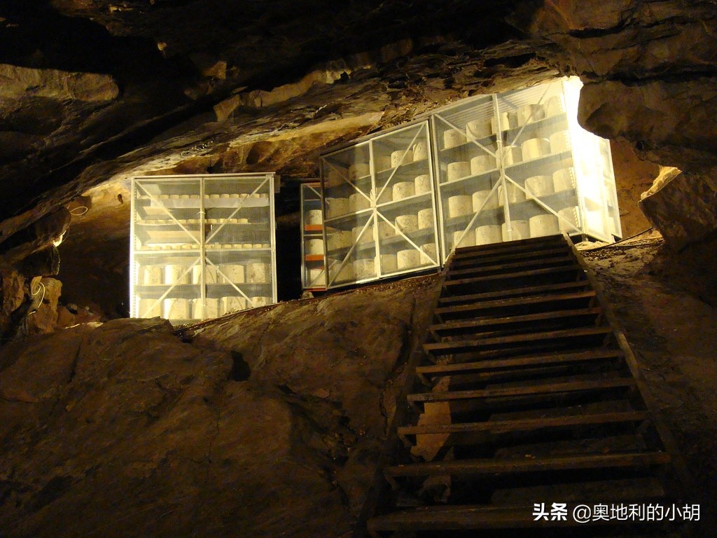 芝士好吃在哪,哪种芝士好吃又营养