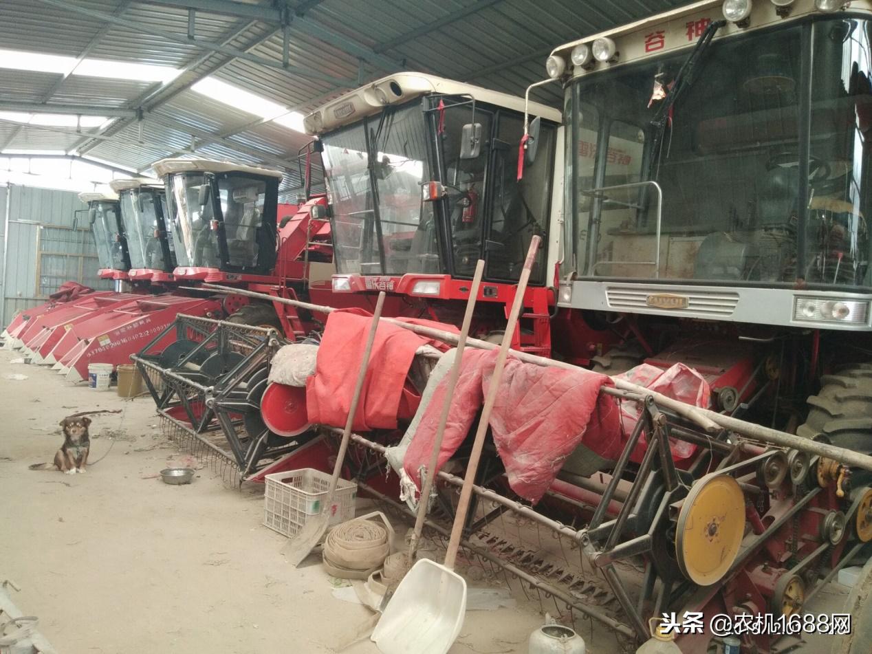 雷沃谷神是哪里的啊,雷沃谷神125马力新款