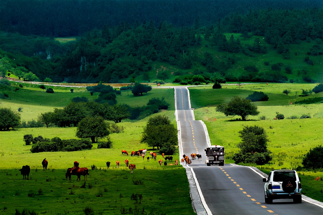 佛山机场换季新增旅游航线，重庆、铜仁在等您