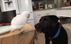 把中间的门店租下来取什么名字好,租下门面不知道取什么名字