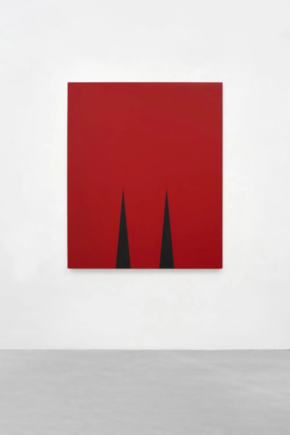 安·埃德霍姆​：保持在抽象和叙事之间的矛盾状态