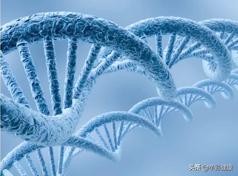 芊影减肥瘦身霜,芊影健康管理公司的减肥药怎么样