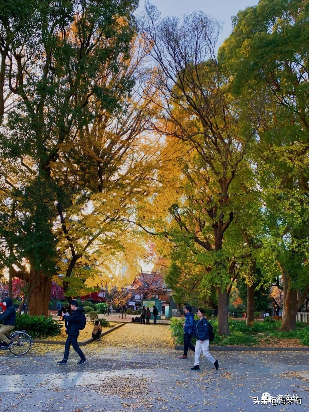 日本东京攻略地图,东京游玩攻略表格