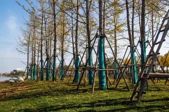 最全大荔旅游攻略拿走不谢,大荔必去4个景点