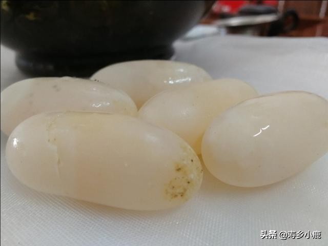 黄喉石金钱龟怎么养,黄喉拟水龟石金钱龟