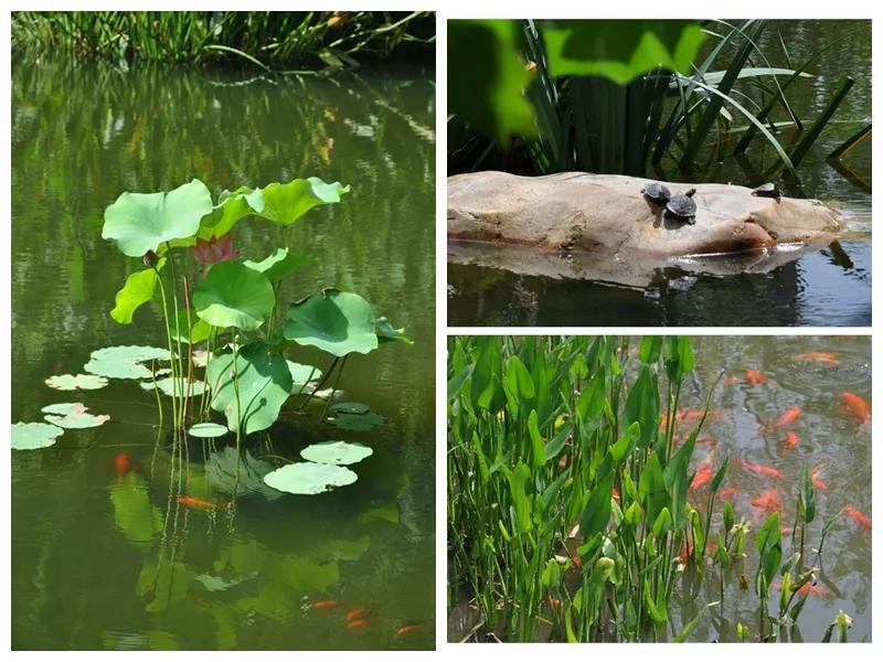 走遍苏州古城,走遍苏州这座城