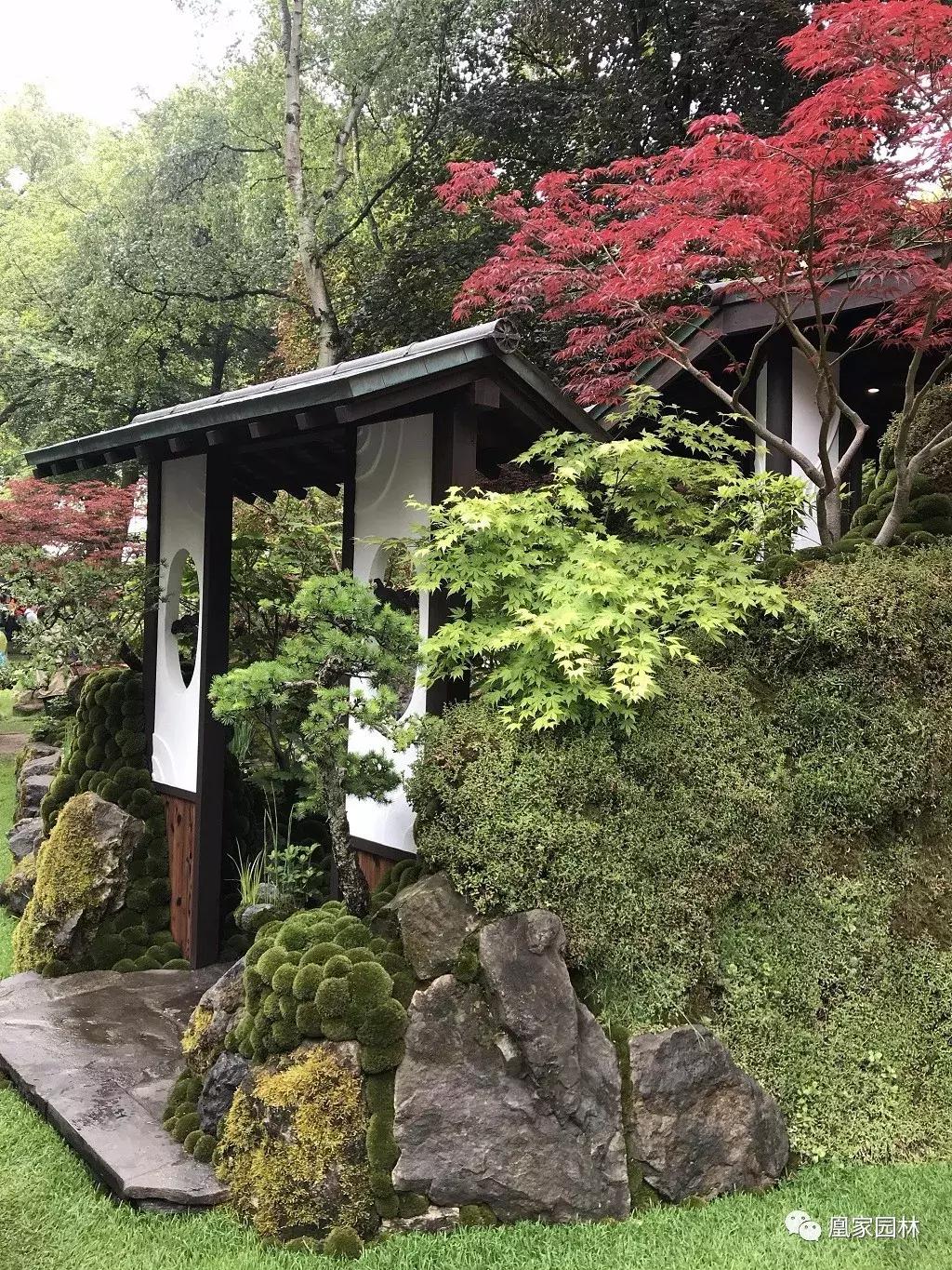 英国切尔西花展游学之旅分享—凰家园林学习沙龙会成功举行