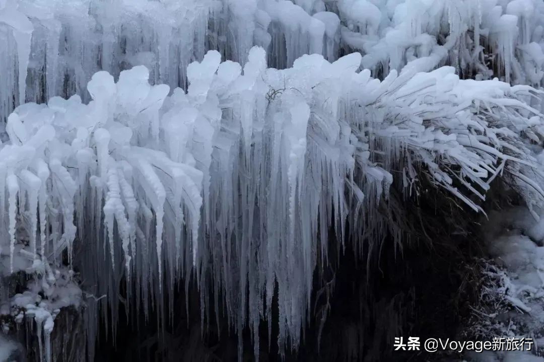 挑战21世纪最低温！我们为你盘点了比“泼水成冰”更美的冬日限定