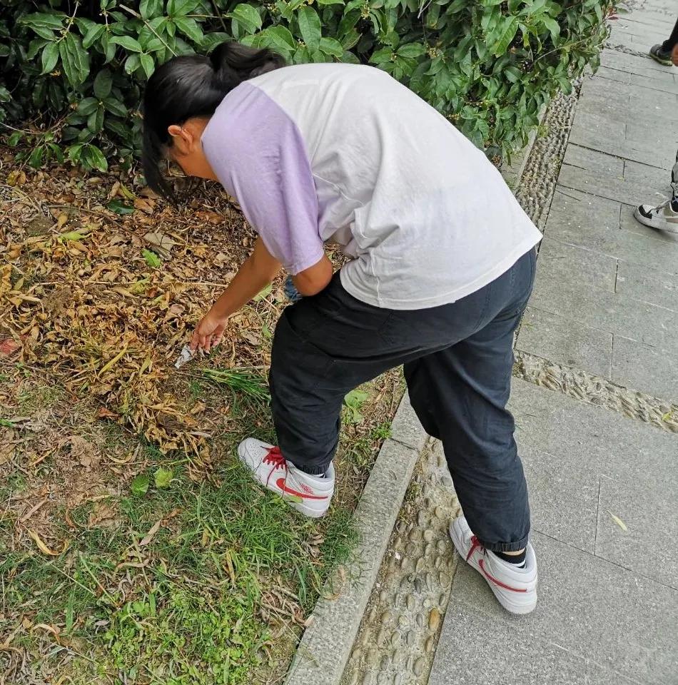 文明清风新吴有礼|梅里中学：弘扬时代精神，绽放文明之花