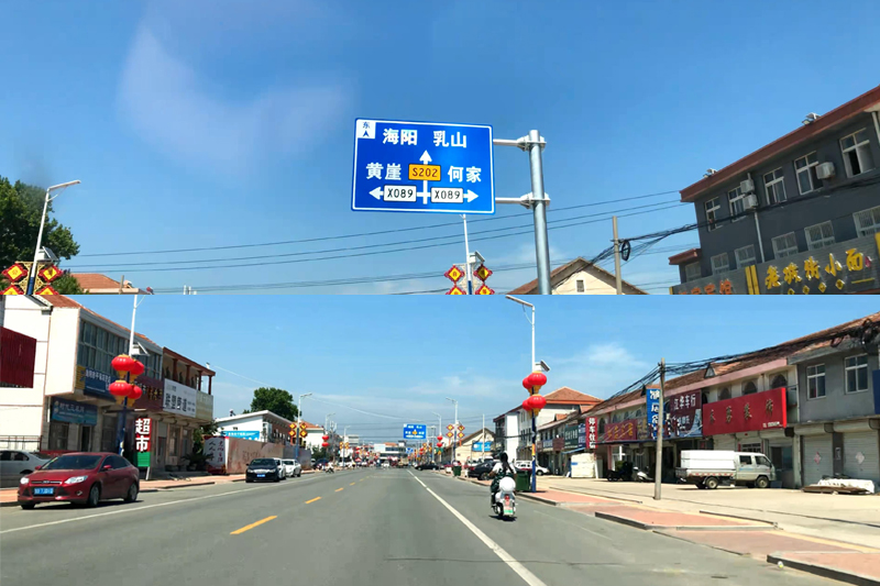 蓝莓的营养价值及野生功效与作用,蓝莓营养科普知识