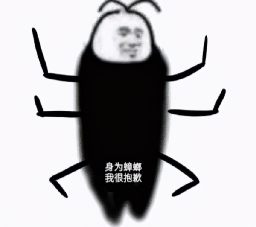 巨型蟑螂南方大蟑螂,广东巨型蟑螂和北方蟑螂对话