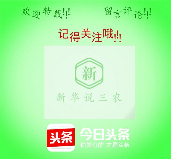 猪场霉菌毒素图片,养猪的霉菌毒素多少度可以杀灭