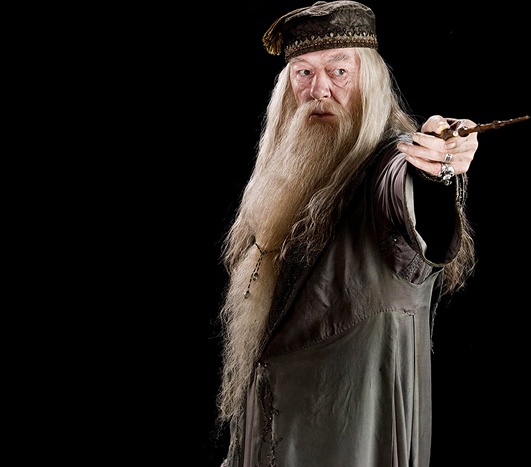 哈利波特十大最受喜爱人物,哈利波特中最受欢迎的10个人物