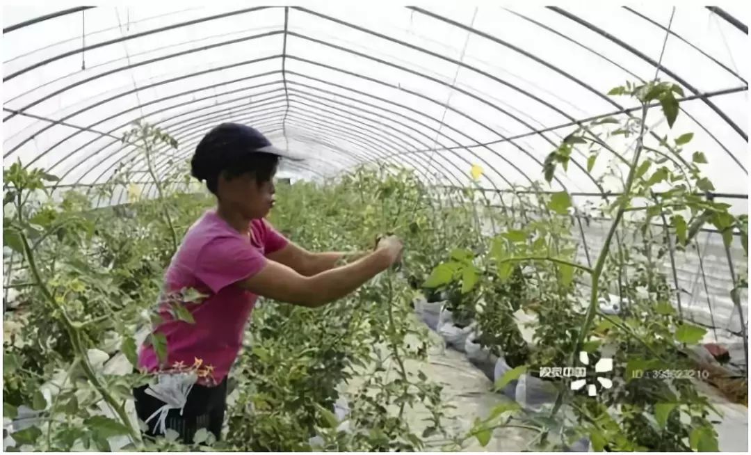 朝日集团最早进入中国,朝日集团公司现状