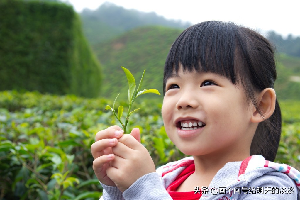 农村赚钱项目创业,农村赚钱项目未来发展前景