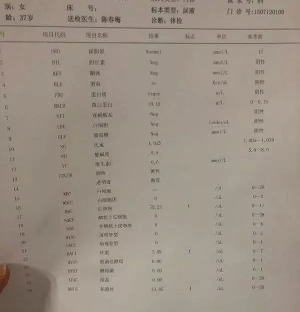 蛋白尿2+怎么预防,蛋白尿2+能用哪些中药治疗呢