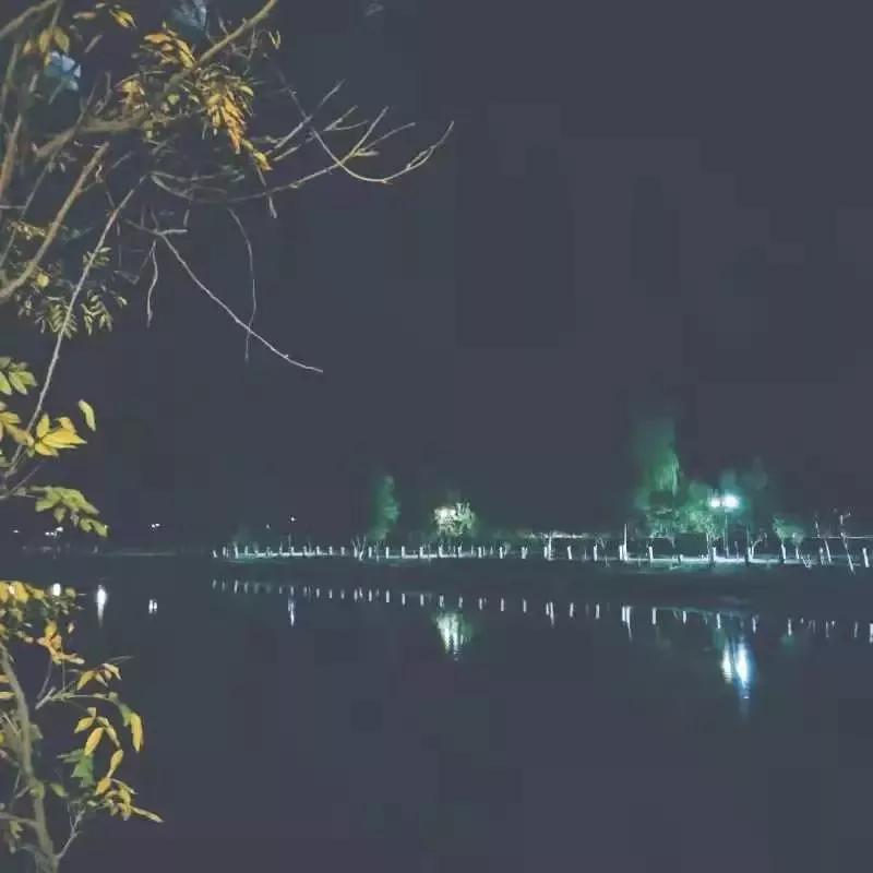 天津市独立院校（四）天津财经大学珠江学院