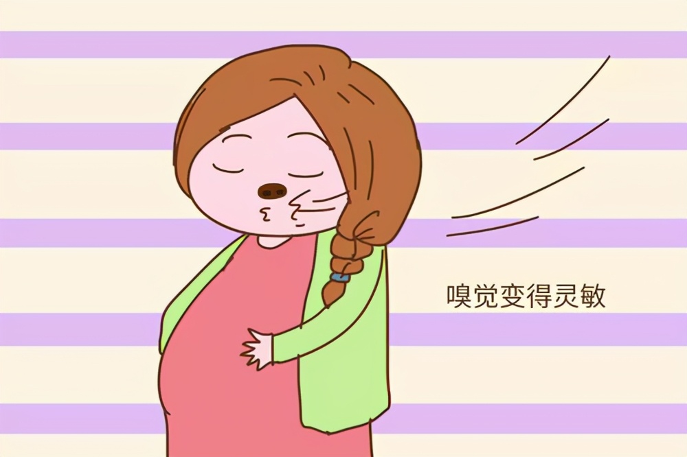 怀孕了孕吐严重如何安慰,怀孕后孕吐严重该怎样缓解