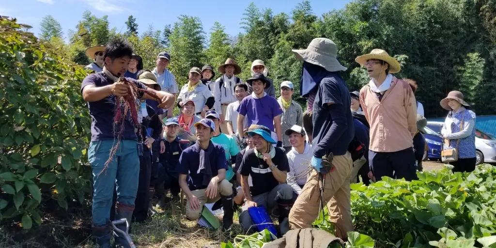农庄餐饮怎么经营赚钱,怎么经营农家乐卖菜生意