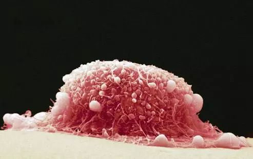 妇科医生个人总结,妇科医生总结范文