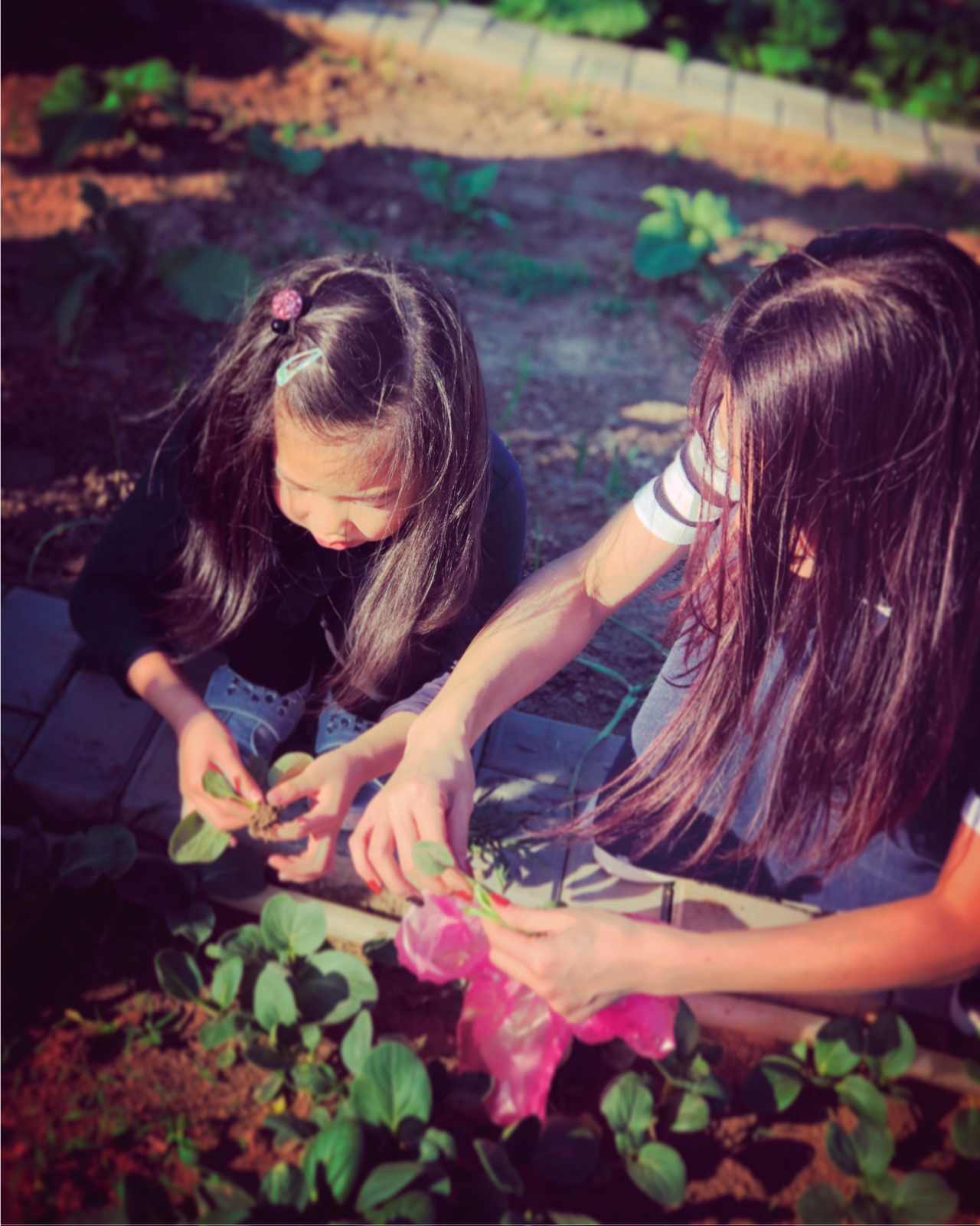 崇明金茂凯悦酒店游泳,金茂崇明凯悦酒店