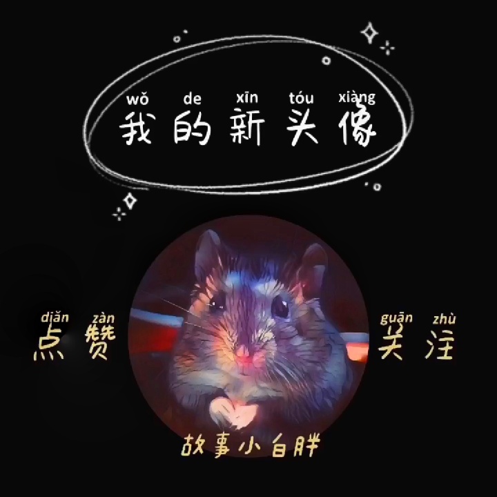 哪个品种的仓鼠容易生崽,养仓鼠新手必看