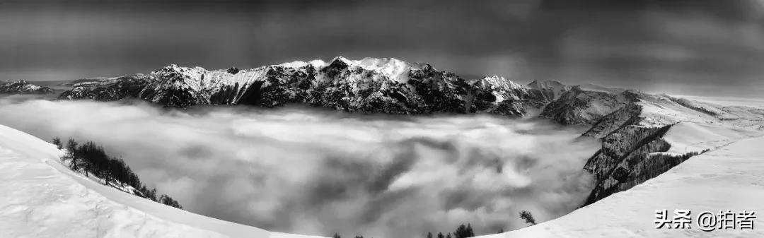 手机摄影天花板机型,手机摄影爱生活