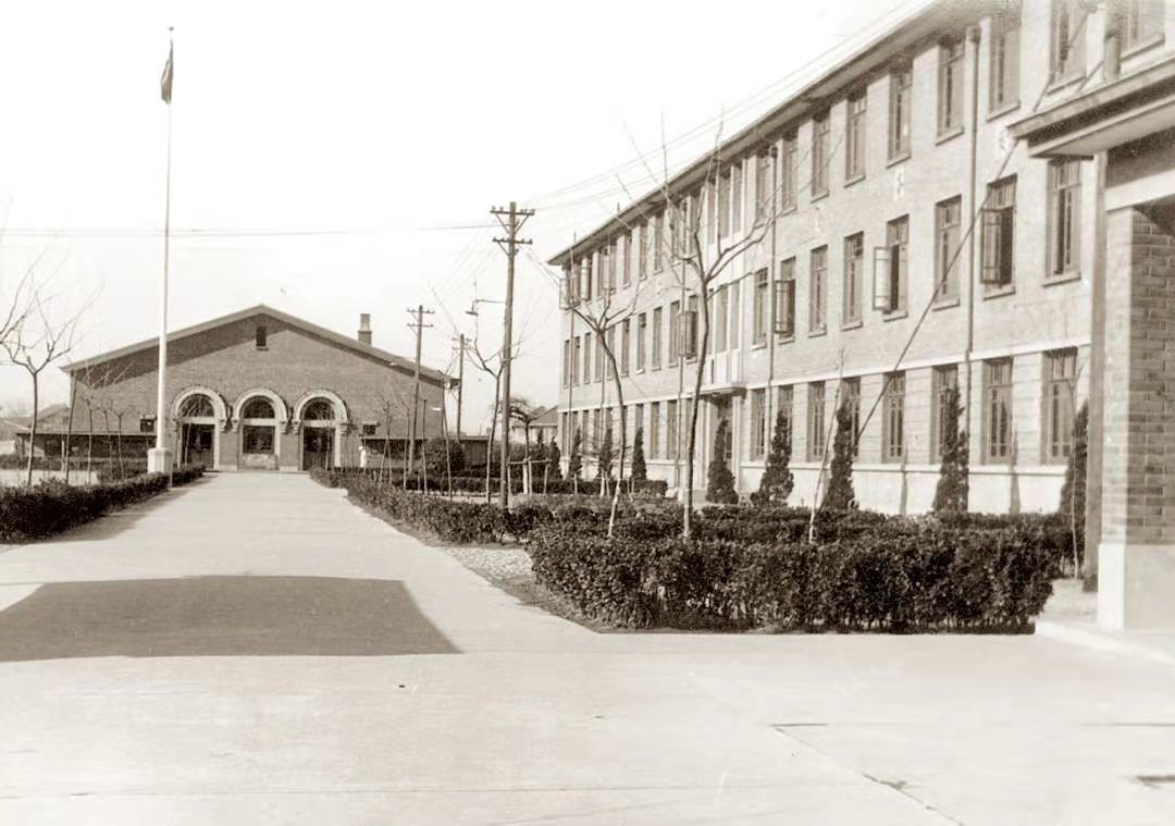 五十年代老草根轶事149~新华医院(二)